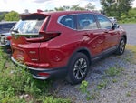 2021 Honda CR-V Special Edition
