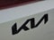2027 Kia Carnival SX
